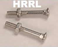 SS Carriage Bolts And Nut With Washer